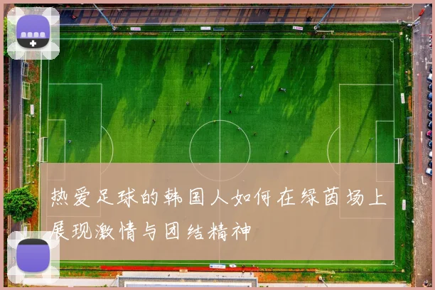 热爱足球的韩国人如何在绿茵场上展现激情与团结精神