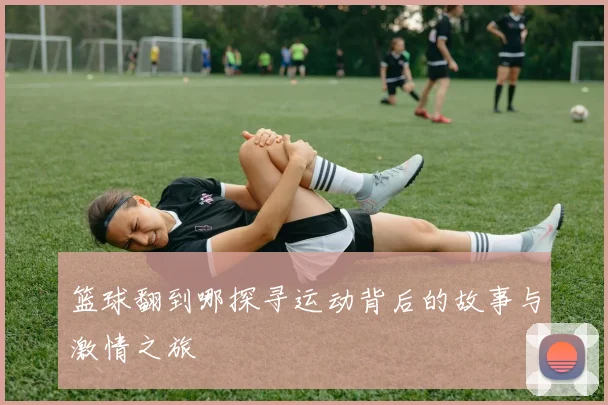 篮球翻到哪探寻运动背后的故事与激情之旅